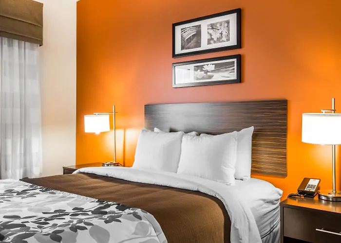 Sleep & At Powell 4*